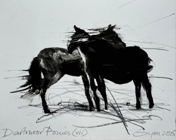 Frances Gynn RWA, Dartmoor Ponies VII, 2025