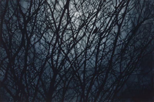 Sarah Gillespie, A Thousand Goodbyes, 2024