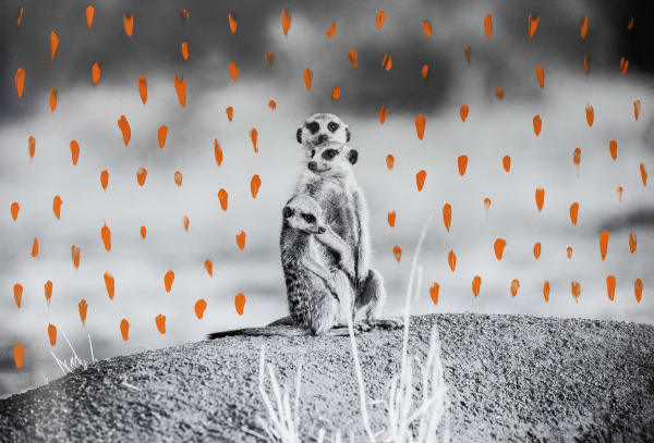 Devoted Diggers , 2020