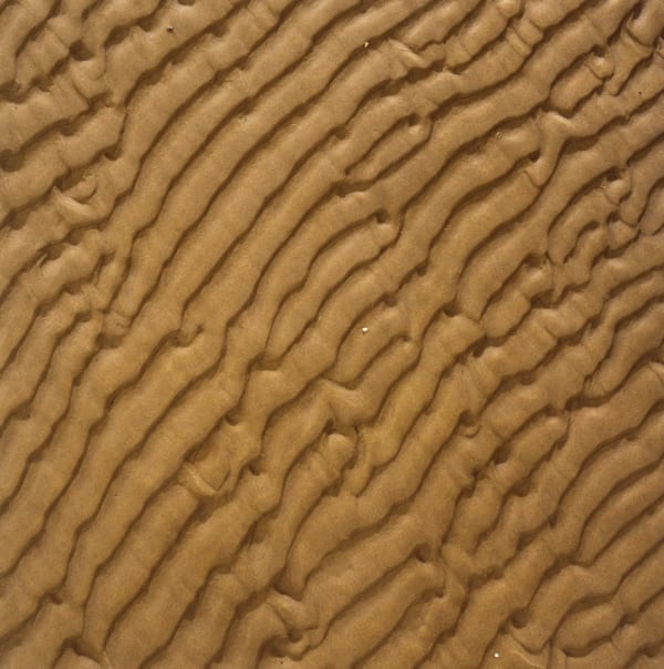 Boyle Family, Sand Study, Camber Sands, 2004