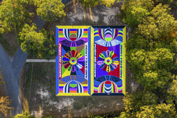 Lakwena Maciver, 'i'll Bring You Flowers', Basketball Courts; Pine Bluff, Arkansas, 2020