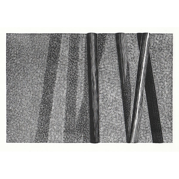 Leonie Bradley, Poles and Shadows