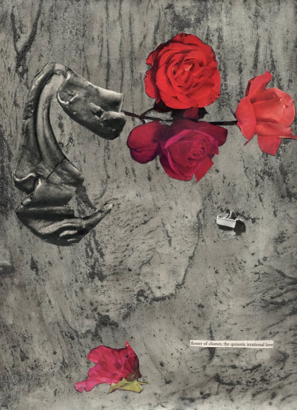 Andrew Hewish Flowers of Chance, the Quixotic Irrational Love, 2025 Ink, graphite, photogram and found text collage on paper 30.5 x 22.7 cm Series: One Liners Signed and dated verso