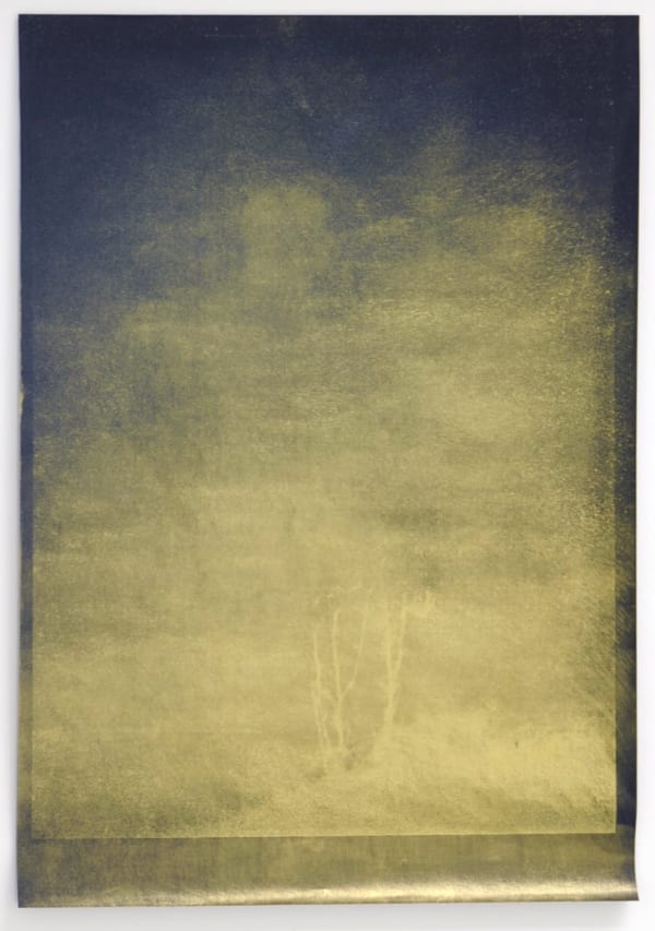 Nick Fox Love's Sigh 5, 2012 Gold dust on carbon paper Work 29.7 x 21 cm Framed on and under museum glass: 40.3 x 31.2 cm Series: Love's Sigh Signed and dated verso