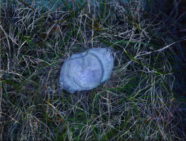 Nick Fox, Excavating the half-light, 2016