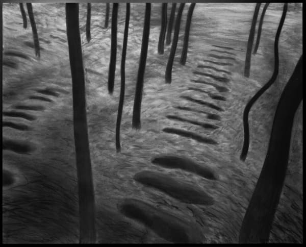 Depression III (Forest), 2024