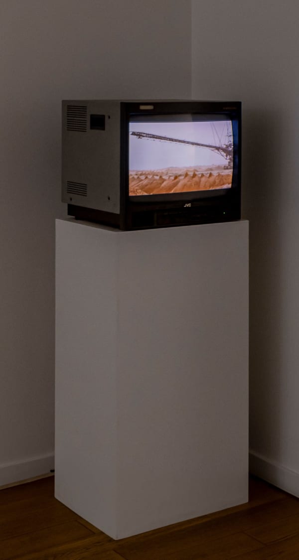 Untitled , 2024