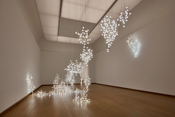 Fragile Future (Work Available for Indoor Commission), 2009
