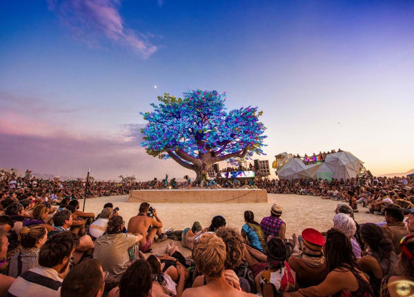 Tree of Ténéré (Work Available for Outdoor Commission)