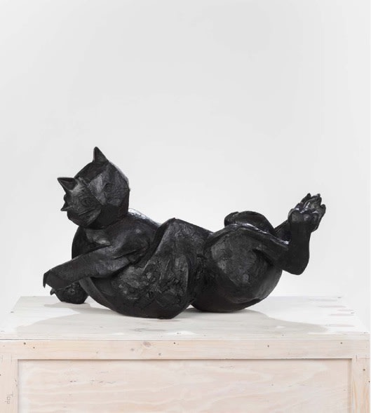 Cat, 2019