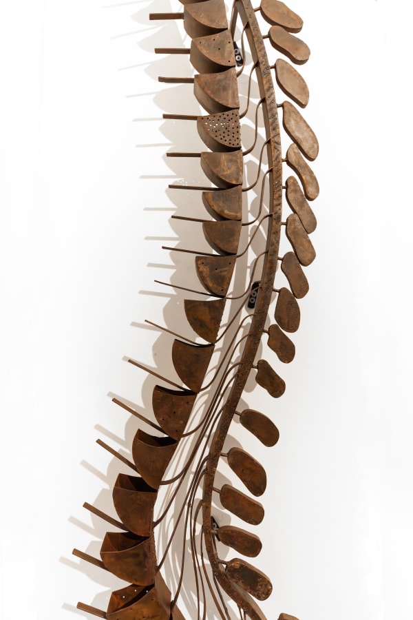 Reerdha (Spinal Cord), 2018