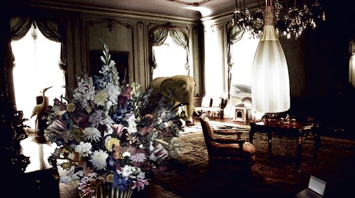 Chimeric Enrapture, 2011