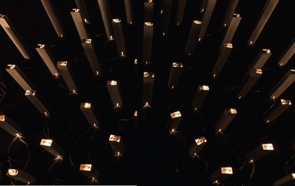 Neelkanth (Blue Throat): Poison/ Nectar, 2000/ 2003/ 2008