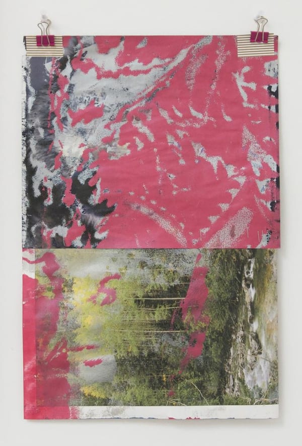 Jim Drain Nature Dream, 2015 Silkscreen on magazine 17 x 14 ins 43.18 x 35.56 cm