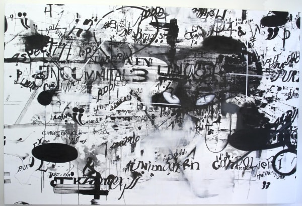Diego Singh &, 2012 Oil, ink, acrylic on linen 48 x 72 ins 121.92 x 182.88 cm