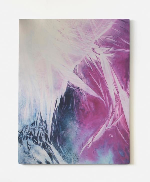 April Street Wandering limb #34 (heartbreaker with dusting powder), 2015 Acrylic, Pastel on hosiery over Canvas painting 68 x 52 ins 172.72 x 132.08 cm
