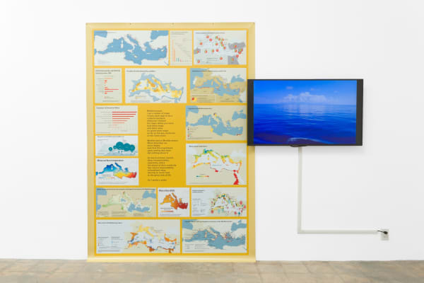 Newton and Helen Harrison Apologia Mediterraneo (Counter Extinction Work V), 2019 Vinyl and 1-channel video 10:10 running time