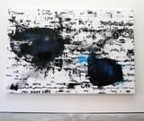 Diego Singh &, 2011 – 2012 Oil, ink, acrylic on linen 72 x 108 ins 182.88 x 274.32 cm