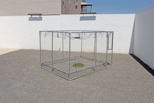 Juan Capistran I wanna be your dog, 2015/2020 Chain link fence, chains, leather collar, and sod 72 x 96 x 120 ins 182.88 x 243.84 x 304.8 cm