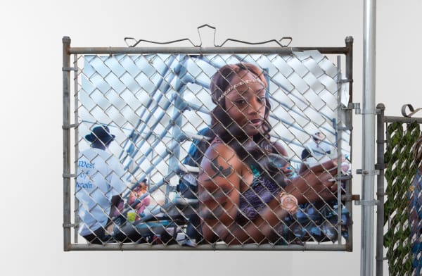 Glen Wilson West of Lincoln, 2017 Steel, chain link mesh, and UV print on synthetic resin 56 1/2 x 42 x 2 1/2 in 143.5 x 106.7 x 6.3 cm