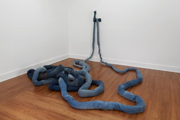 Anna Sew Hoy, Hug, 2012