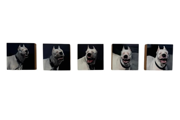 Valeria Terrazas, Bark Before the Bite [SET OF 5], 2025