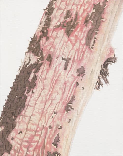 Sean Cavanaugh, Trunk No. 7,, 2013