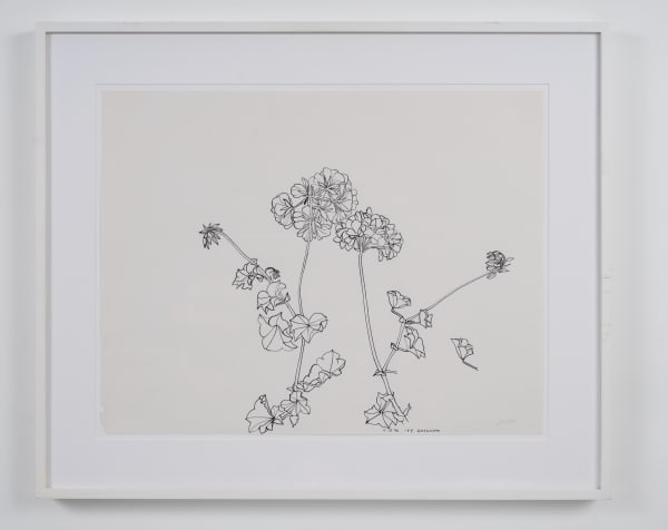Ruth Asawa, Ivy Geranium (Two Stems), 1990