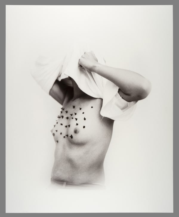 Protección (Protection)