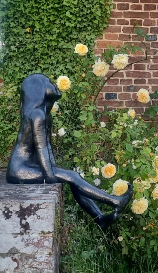 Alison Bell, Daydream