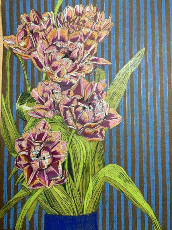 Drawings - Clare Halifax, tulip study 7