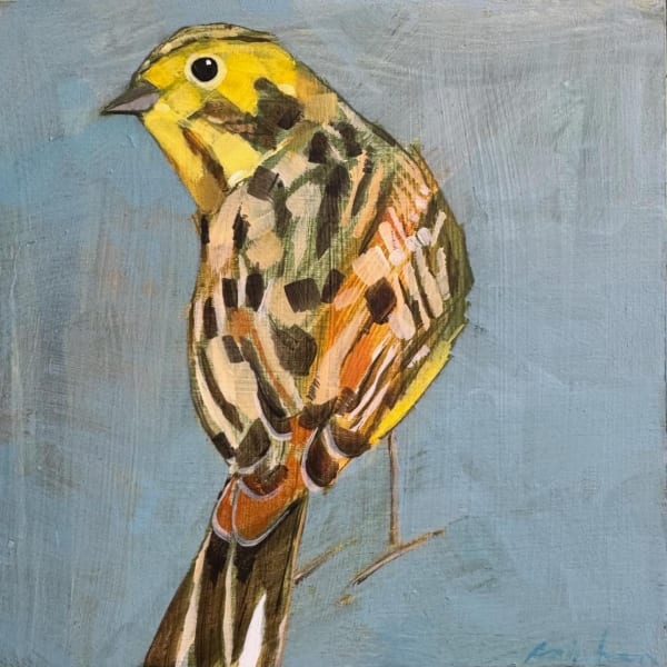 Christopher Rainham, Yellow Hammer