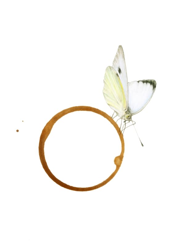 Rose Sanderson, Coffee Stain 1
