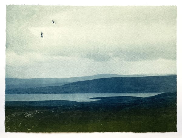 Luella Martin, Two Birds
