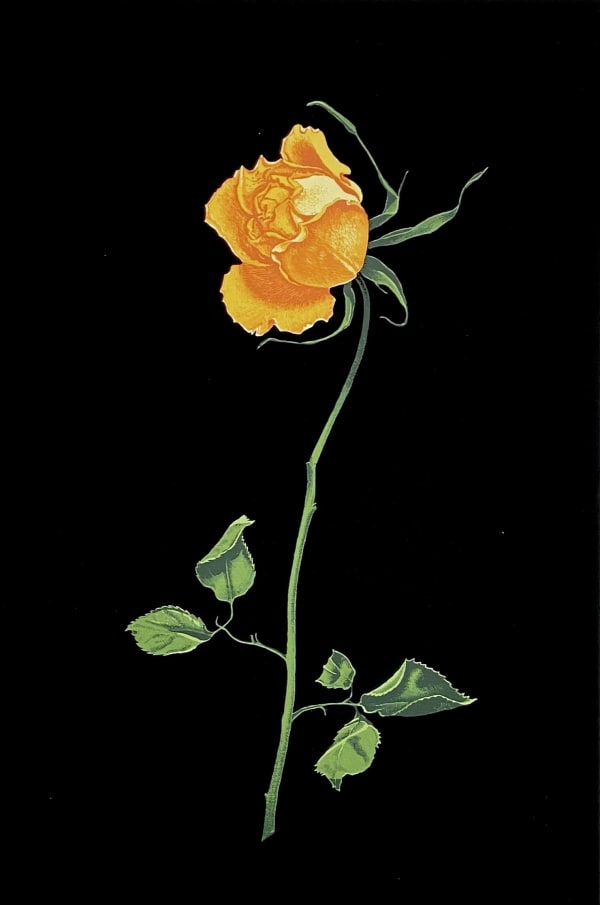Martin Grover, Rose