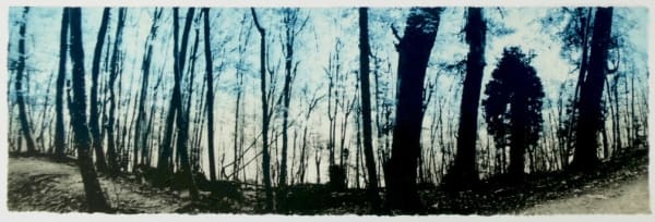 Luella Martin, Woodland Walk
