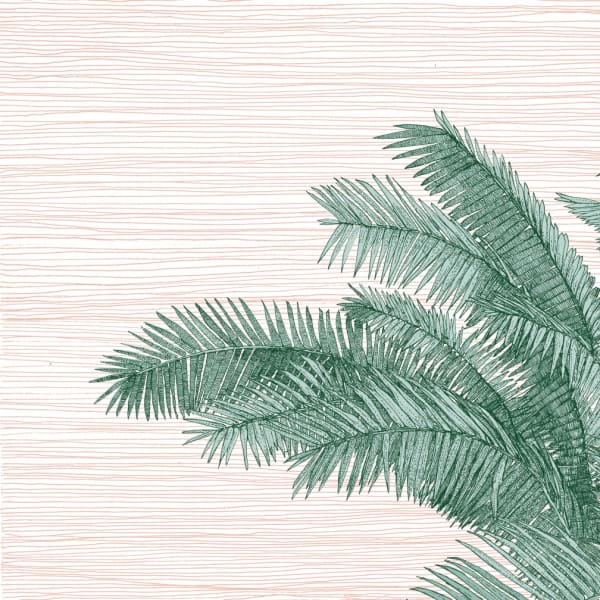 Clare Halifax, Palms Springing