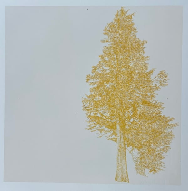 Clare Halifax, The Tree to the Right, Mustard Yellow