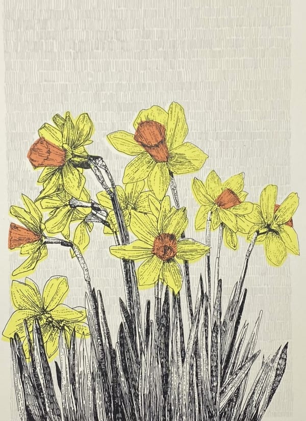 Clare Halifax, Welsh Daffodil