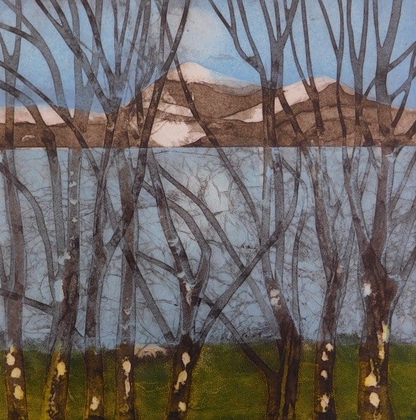 Sarah Ross-Thompson, Silvering, 2020