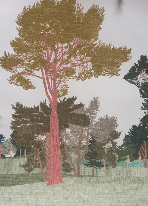 Drawings - Clare Halifax, Tall Trees at Tatton Park ii