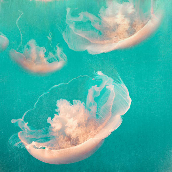 Nadia Attura, Monterey Cyan