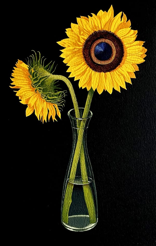 Martin Grover, Sunflowers