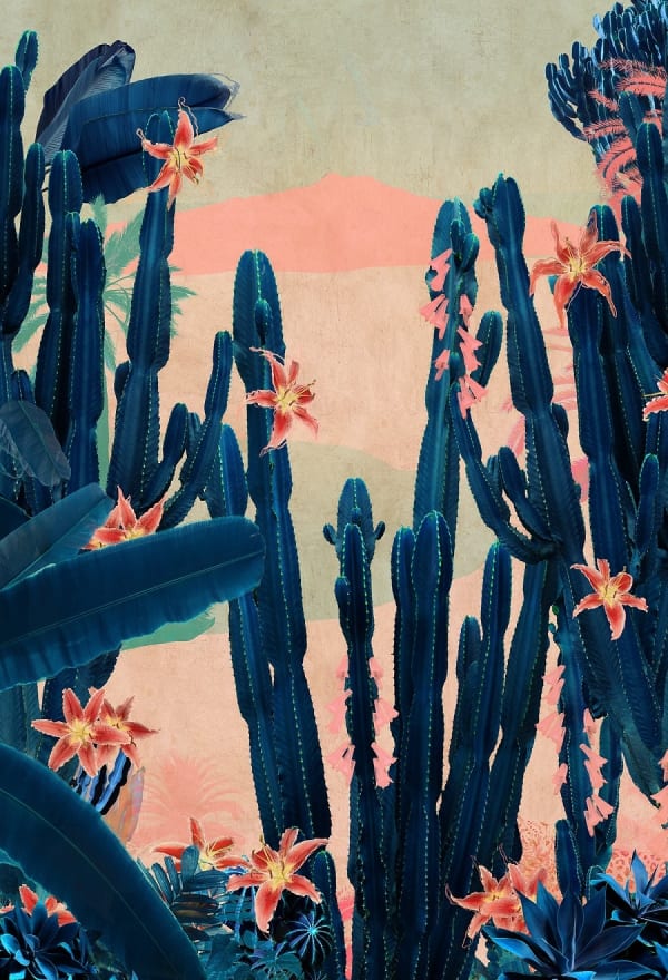 Nadia Attura, Cactus Taormina