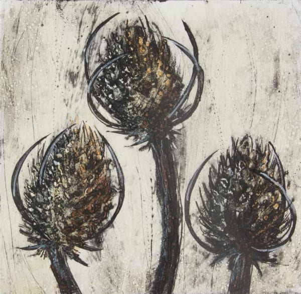Vicky Oldfield, Three Teasels 5/20