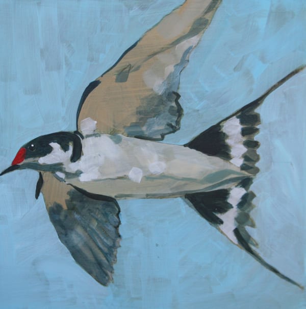Christopher Rainham, Swallow