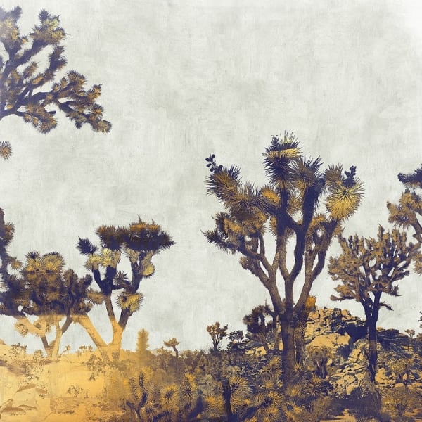 Nadia Attura, Joshua Tree