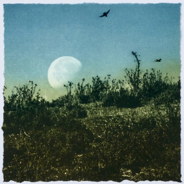 Luella Martin, Day Moon