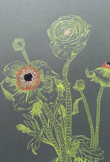 Drawings - Clare Halifax, Spring Bouquet xii