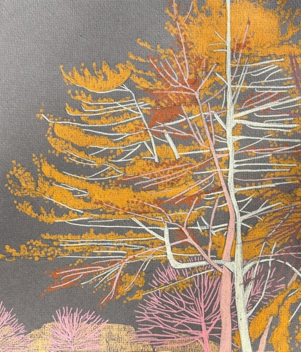 Drawings - Clare Halifax, Hampstead Heath Observation VII